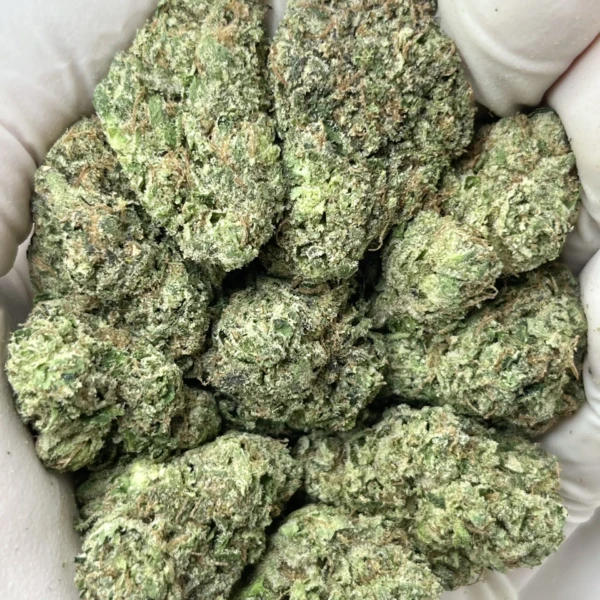 THC-A Flower